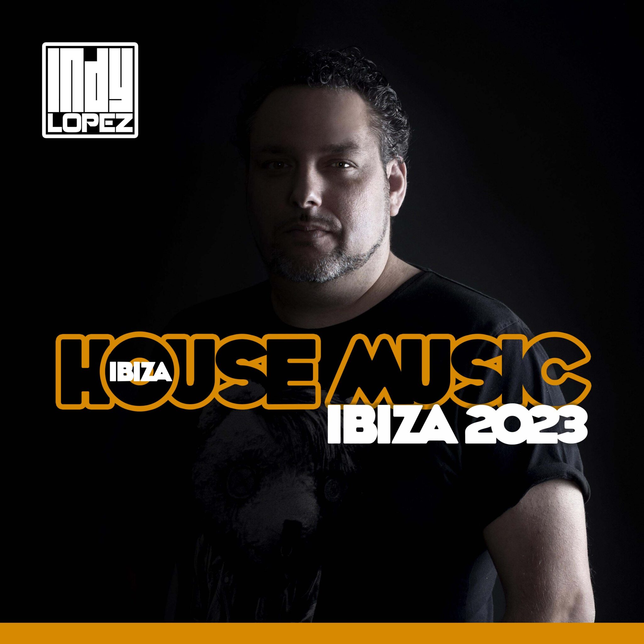 ibiza house music 2023 playlist