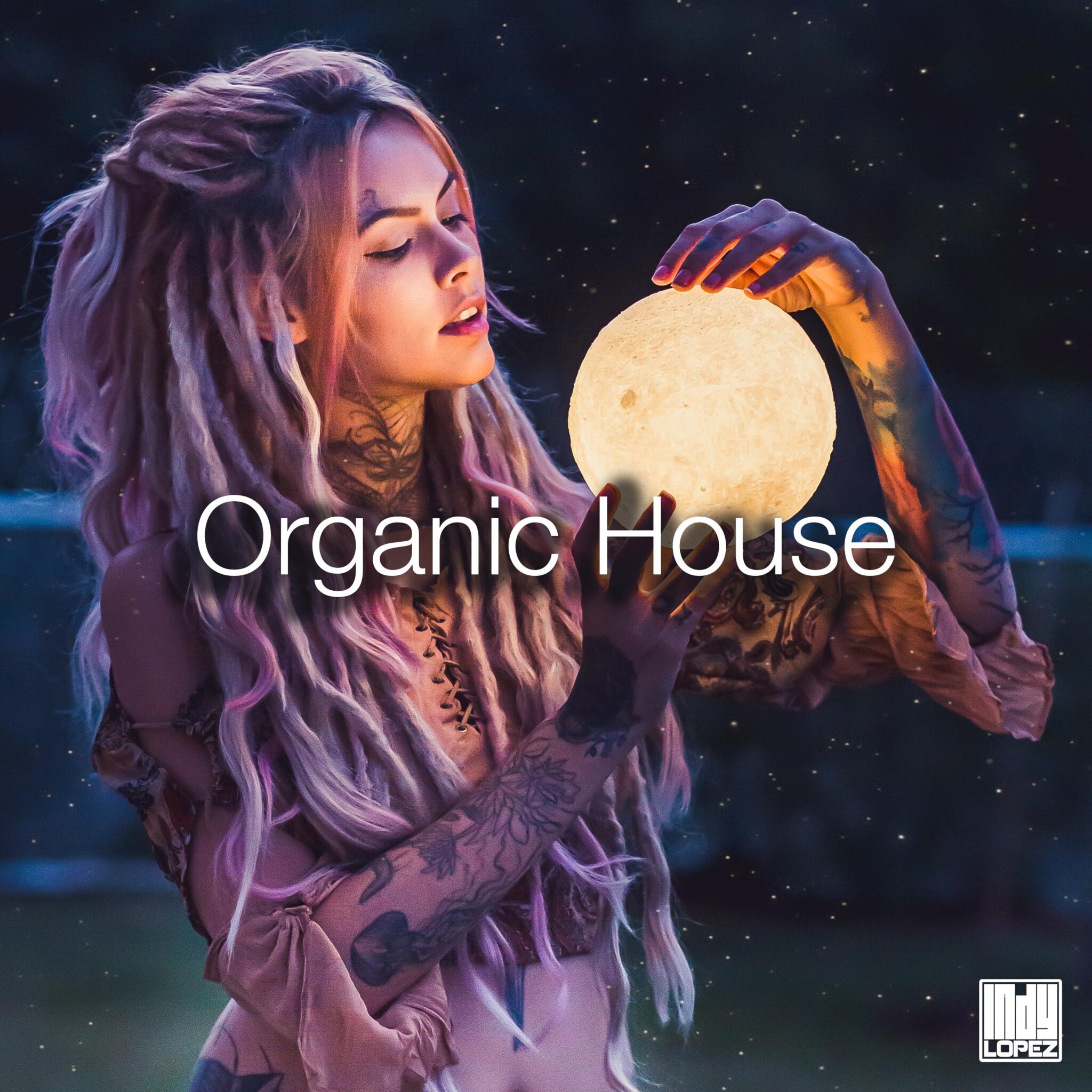 Organic House Melodic Playlist
